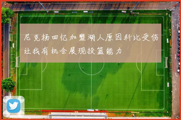 尼克杨回忆加盟湖人原因科比受伤让我有机会展现投篮能力