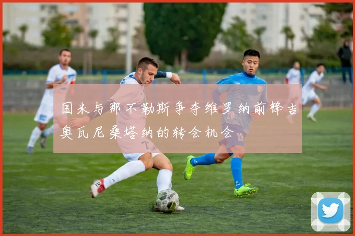 国米与那不勒斯争夺维罗纳前锋吉奥瓦尼桑塔纳的转会机会