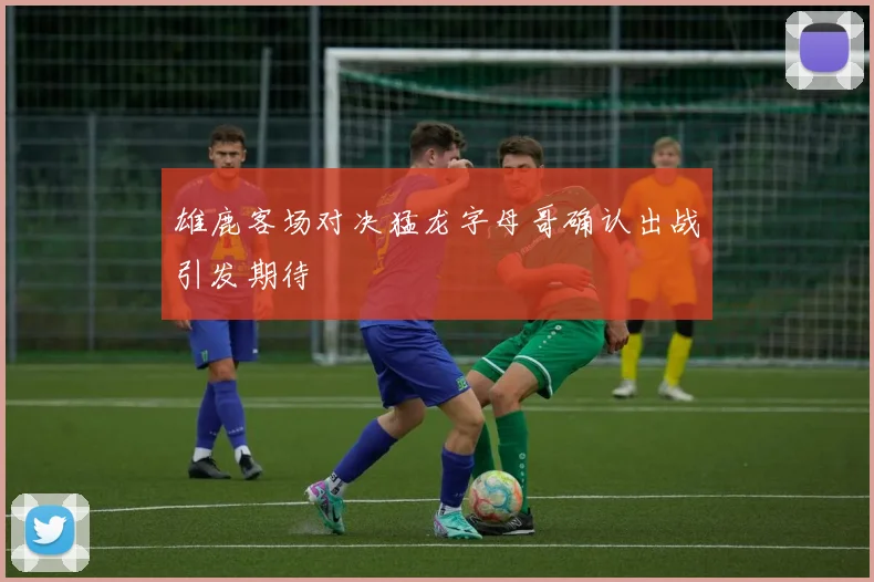 雄鹿客场对决猛龙字母哥确认出战引发期待