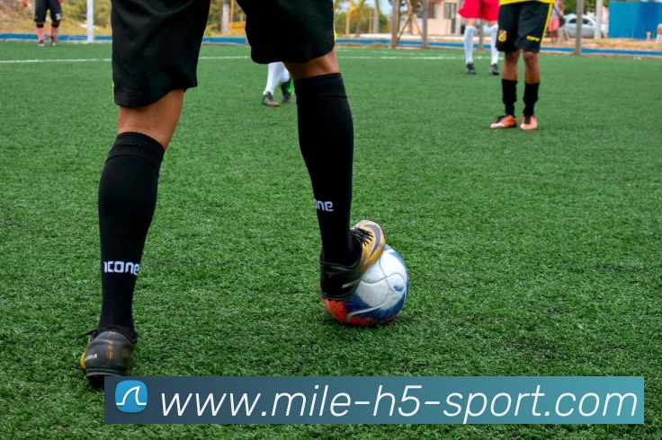 米乐体育APP 封面图